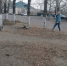 МЕСЯЧНИК ПО САНИТАРНОЙ ОЧИСТКЕ ПРОДЛЁН ДО 31 МАЯ - Городское поселение Борзинское